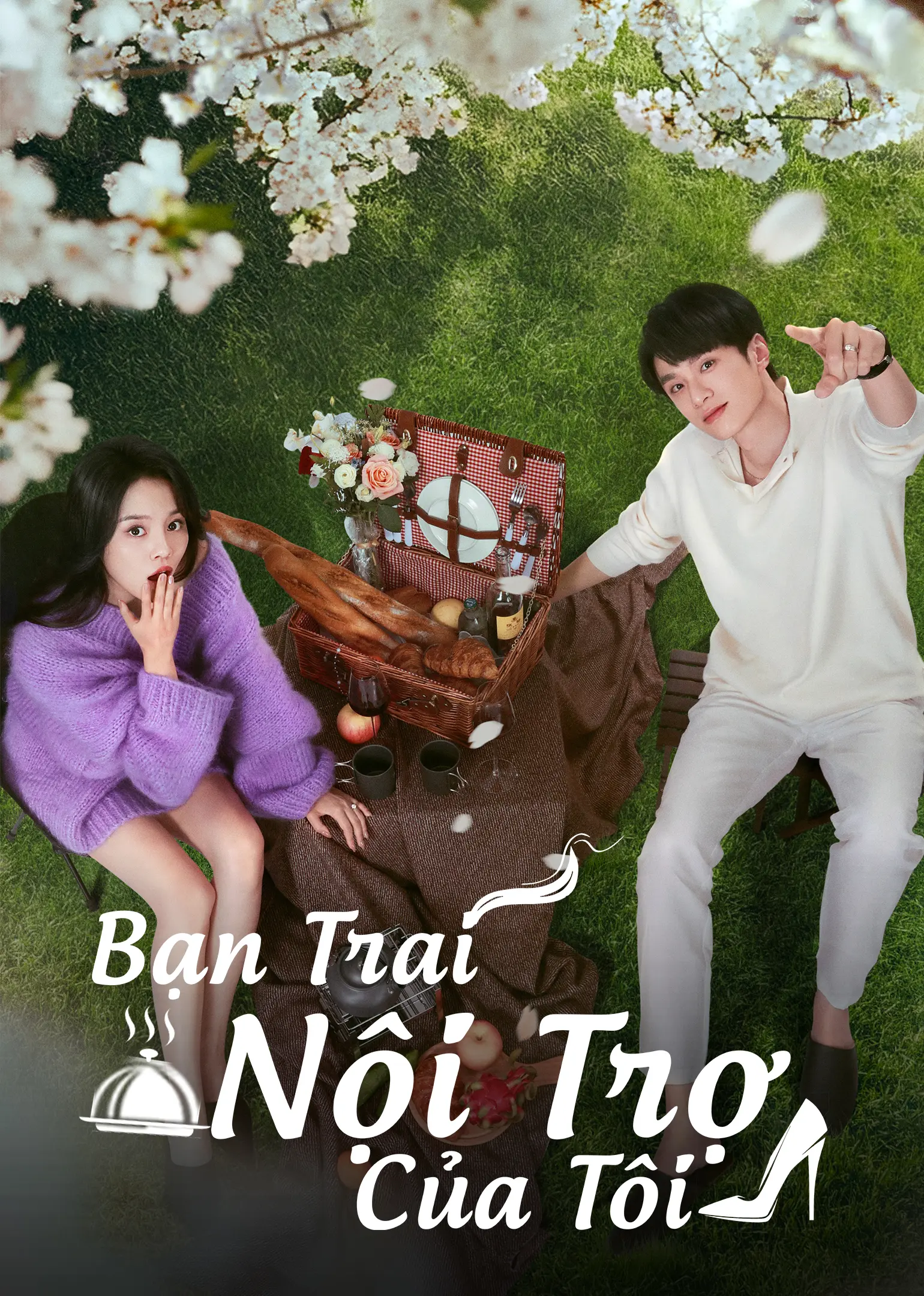 Bạn Trai Nội Trợ Của Tôi